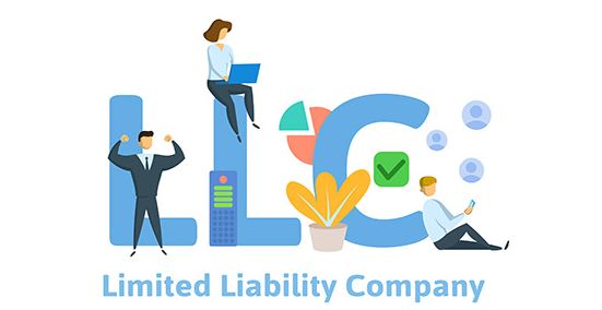 limited liability company