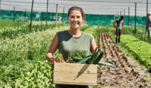 Crop Harvest