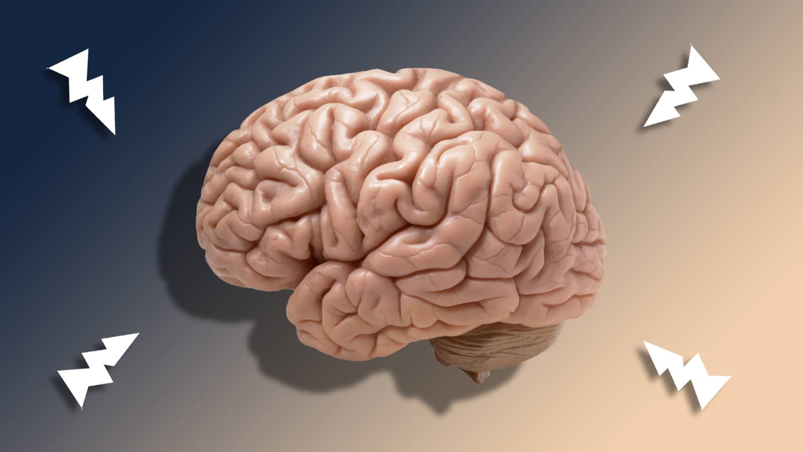 nootropics brain